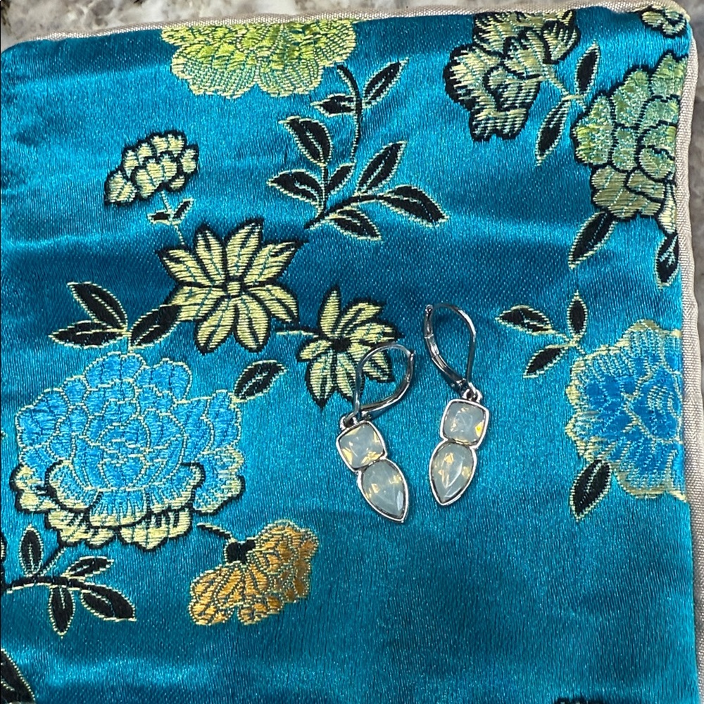 Elegant Silver and Opalescent Earrings